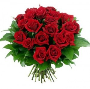 12 rose rosse