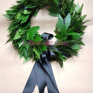 🎓 Coroncine di Laurea – Omaggi Floreali per il Grande Traguardo 🦉📜