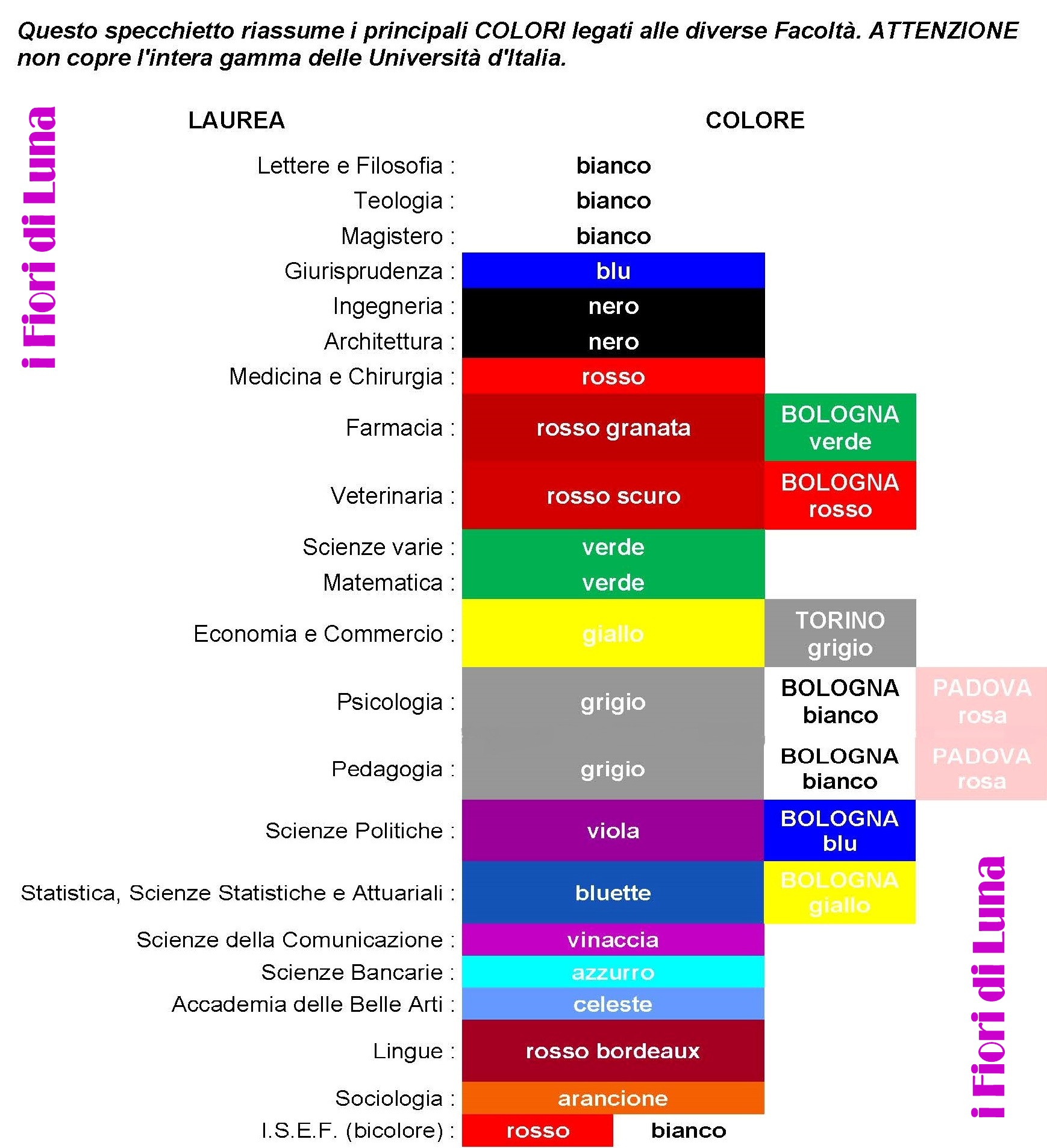 🎓 Coroncina di Laurea – Omaggio Floreale per il Raggiungimento Accademico 🎓 - immagine 7