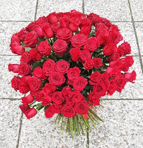 101 rose rosse