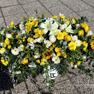 Copri-feretro bianco e giallo