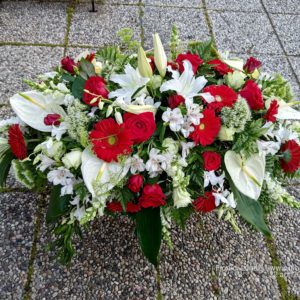 Copricassa corto - bianco e rosso